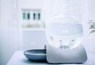 Bebedouro Pet - Bubble - MagazineInnovar