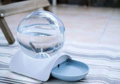 Bebedouro Pet - Bubble - MagazineInnovar