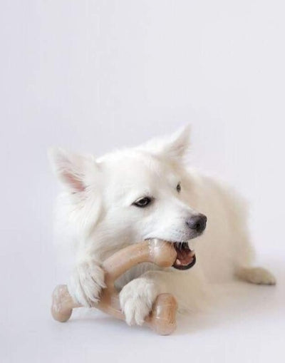 Brinquedo para Cachorro - Benebone - MagazineInnovar