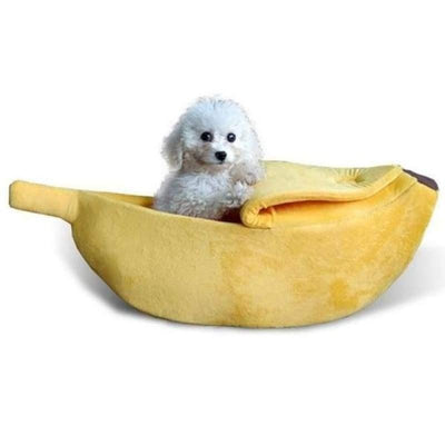 Caminha Pet - Bananinha - MagazineInnovar