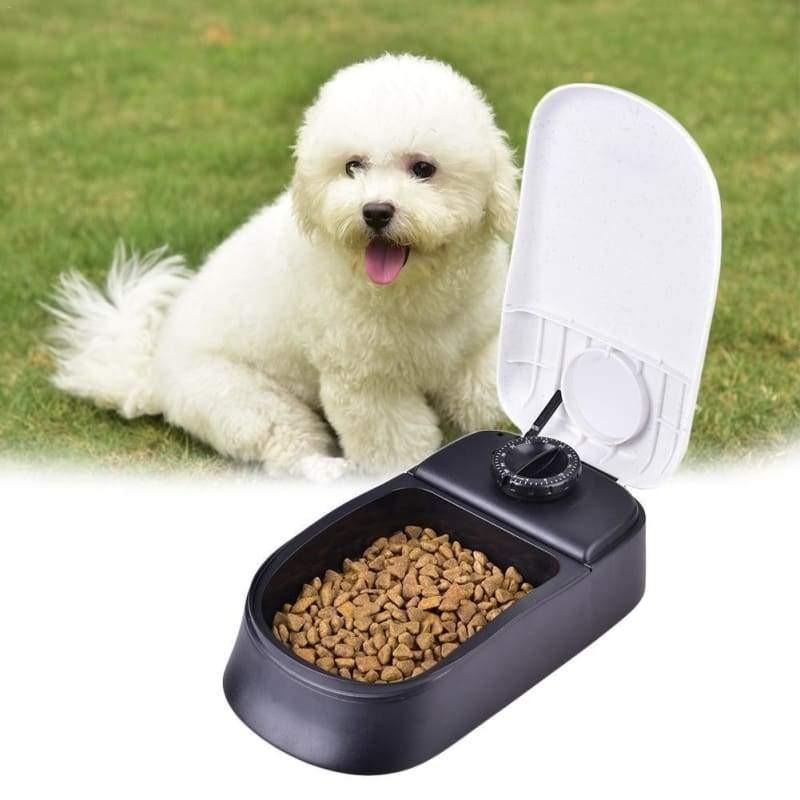 Alimentador Automático Pet - Time 48hs - MagazineInnovar