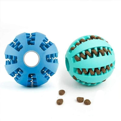 Brinquedo para Pet - PetBall Dog - MagazineInnovar