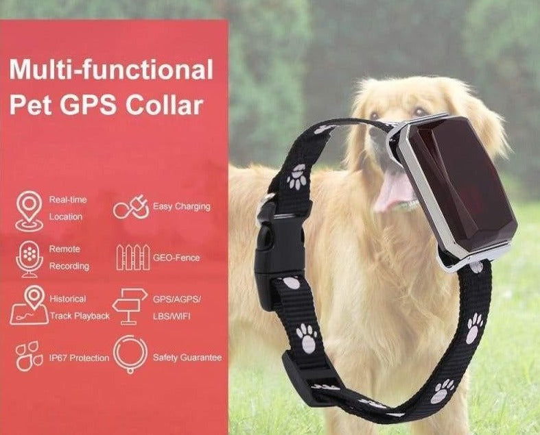 Rastreador Pet - Coleira GPS Docooler - MagazineInnovar