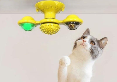 Brinquedo para Gato - Catavento - MagazineInnovar