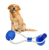 Brinquedo para Cachorro - Bola Interativa - MagazineInnovar