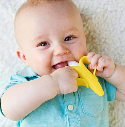 Mordedor/Escova de Dentes para Treinamento Bananinha ou Milho - MagazineInnovar