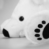 Urso Polar Soninho - MagazineInnovar