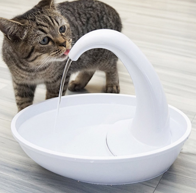 Bebedouro Pet - Fonte Cisne - MagazineInnovar