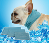 Bandana Refrescante Pet - Ice Summer - MagazineInnovar