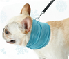 Bandana Refrescante Pet - Ice Summer - MagazineInnovar