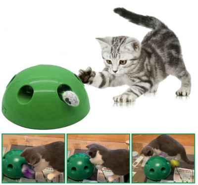 Brinquedo para Gato - Pop and Play