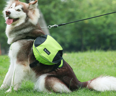 Coleira Peitoral Pet - Mochila Hiking - MagazineInnovar