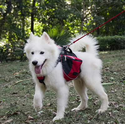 Coleira Peitoral Pet - Mochila Hiking - MagazineInnovar