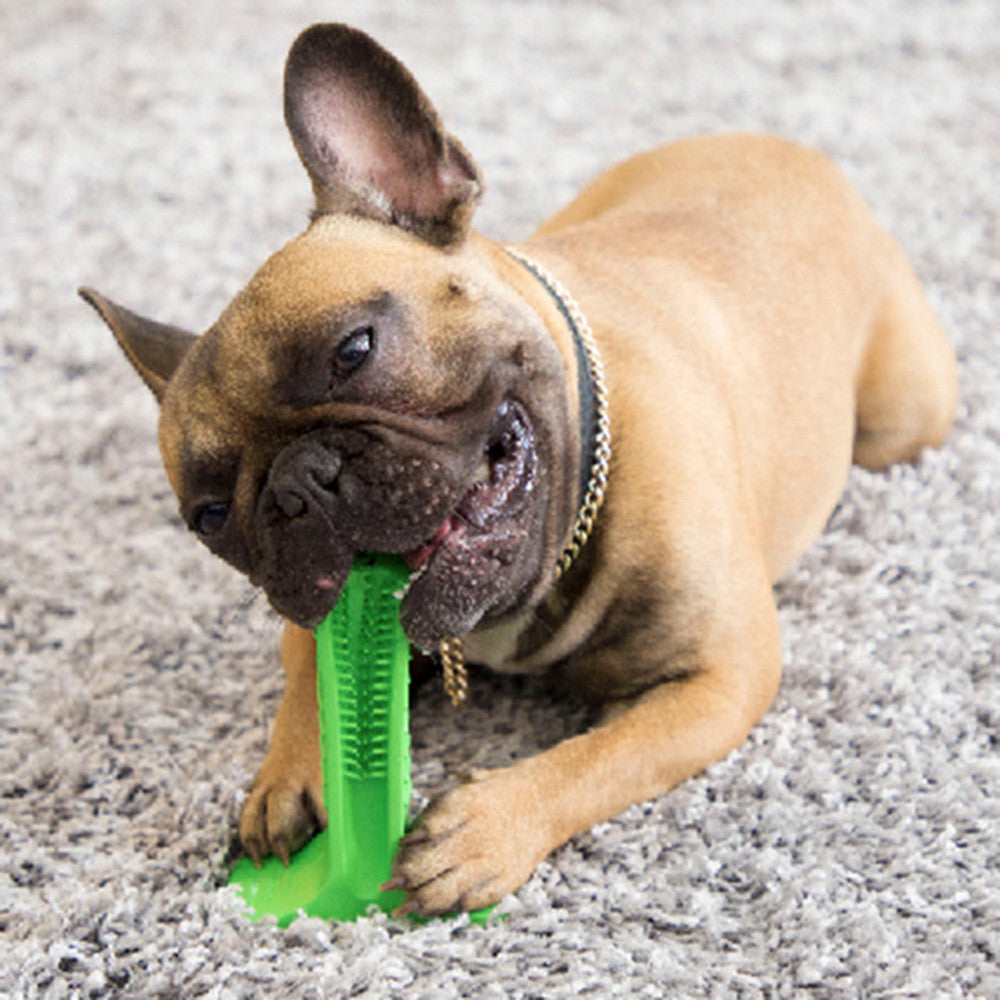 Escova de Dente para Cachorro - Brush