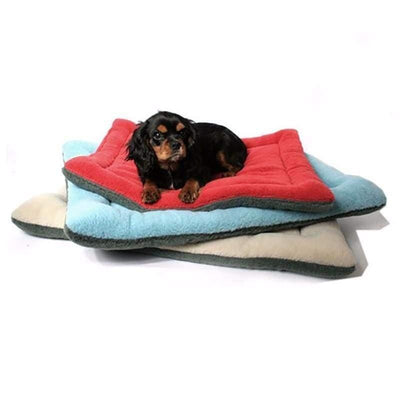 Caminha Pet - Cozy Pet - MagazineInnovar