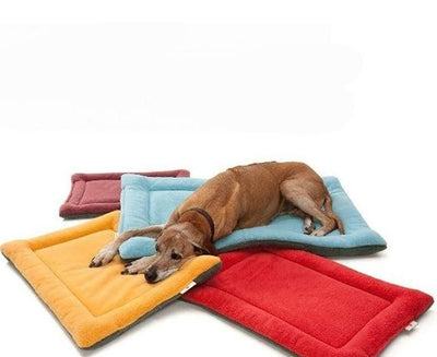 Caminha Pet - Cozy Pet - MagazineInnovar