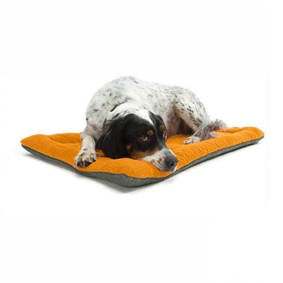 Caminha Pet - Cozy Pet - MagazineInnovar