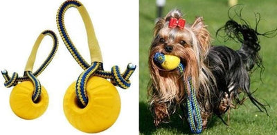 Brinquedo para Cachorro - Bola Yelo - MagazineInnovar