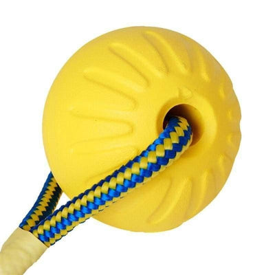 Brinquedo para Cachorro - Bola Yelo - MagazineInnovar