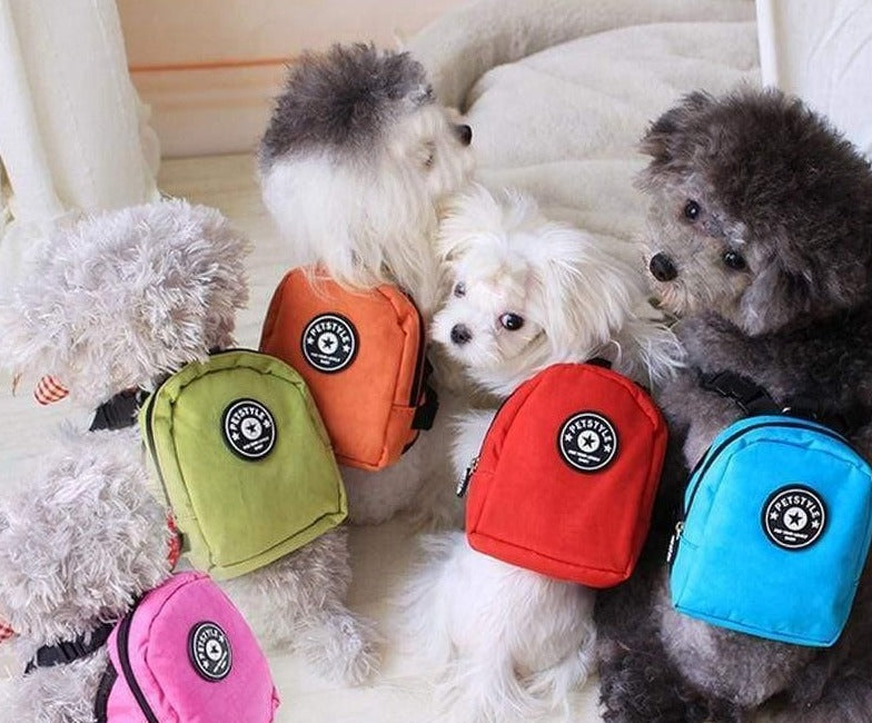 Mochila Pet - Pet Style - MagazineInnovar