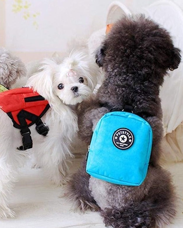 Mochila Pet - Pet Style - MagazineInnovar