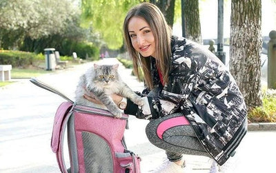 Bolsa de Transporte Pet - Mochila Chelsea - MagazineInnovar