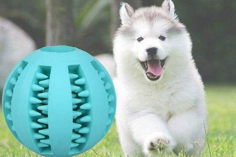 Brinquedo para Cachorro - Bolinha Snack - MagazineInnovar